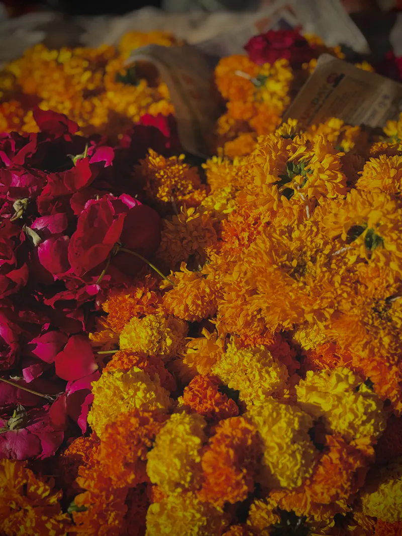 A heap of yellow marigolds and red rose petals for decoration