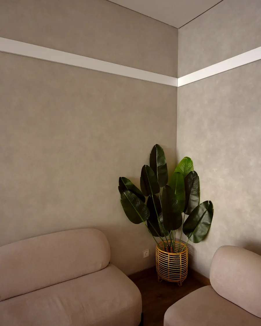 Two cream armchairs and a leafy plant in a quiet corner